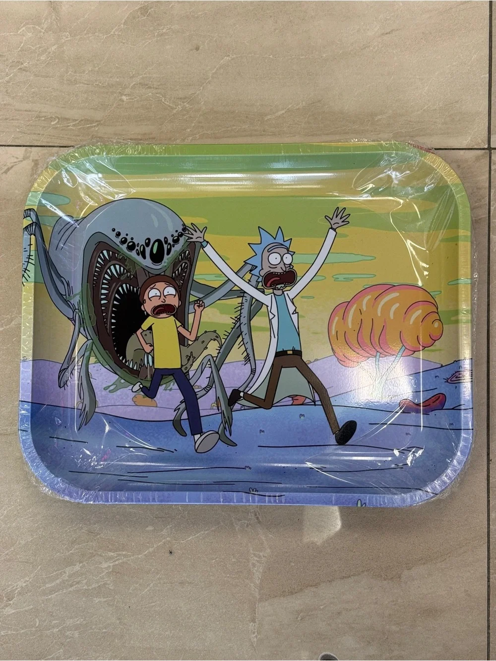 Rick and Morty Tray - XL